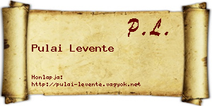 Pulai Levente névjegykártya