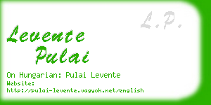 levente pulai business card